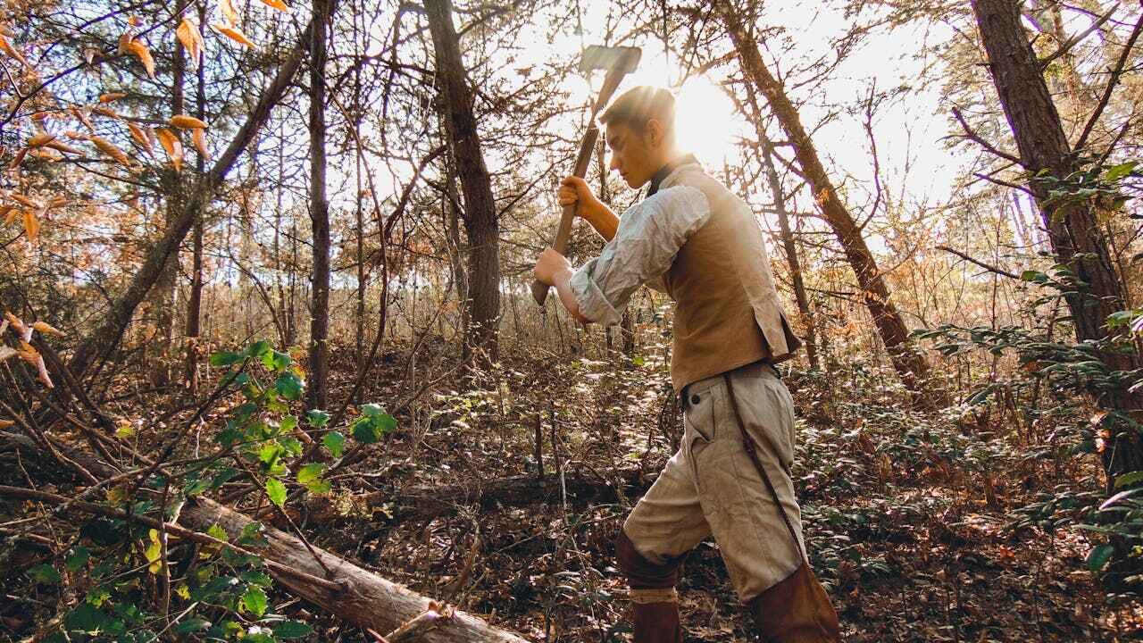 Best Tree Cutting Near Me  in Hallstead, PA